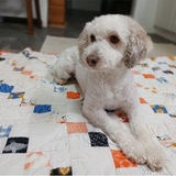 Entry image for Cassie