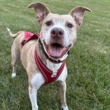 Entry image for Bella