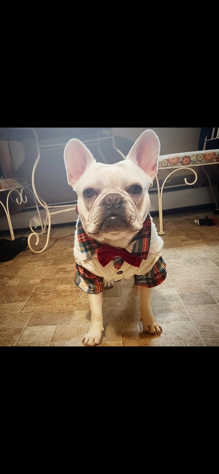 Entry image for Melvin. Clicking this image will show a larger photo