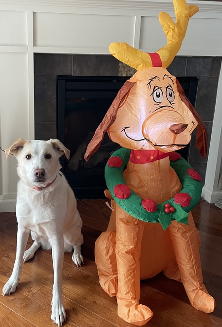 Entry image for Albert and his friend Max. Clicking this image will show a larger photo