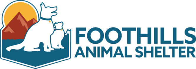 Logo for Dogs with Altitude Calendar Contest