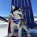 Entry image for Nova