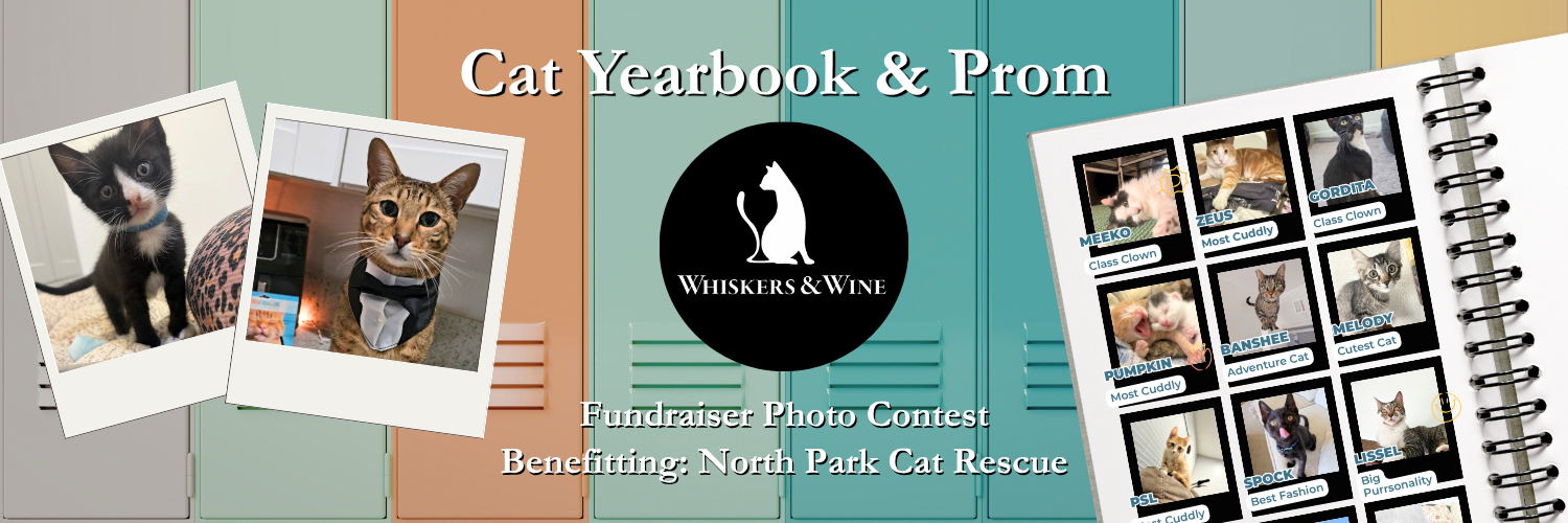 Banner for Cat Yearbook & Prom
