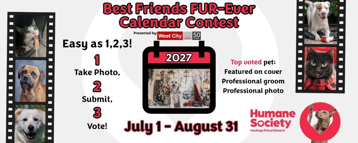 Banner for HSHPE Best Friends FUR-Ever Calendar contest, presented by West City Honda