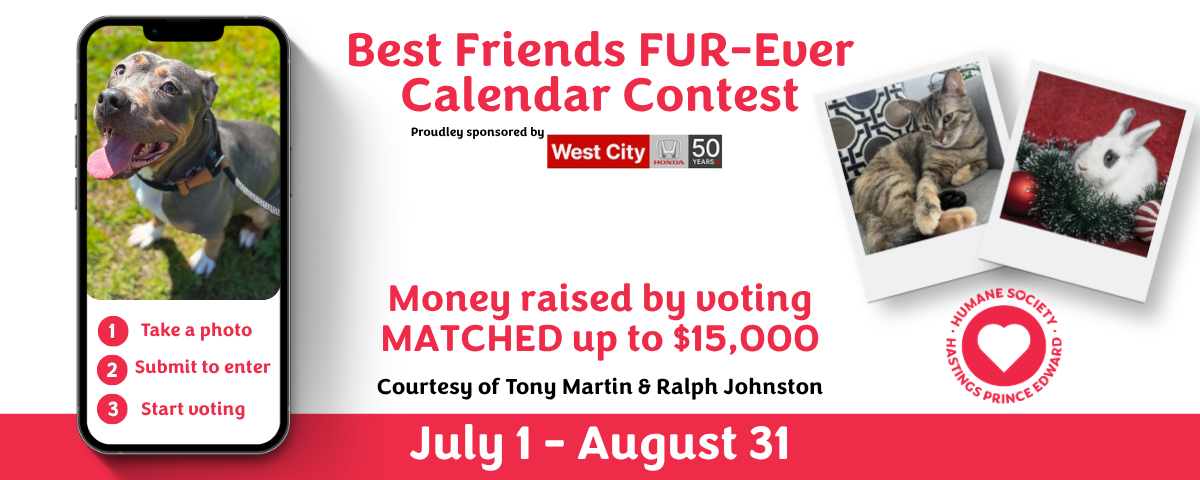 Banner for HSHPE Best Friends FUR-Ever Calendar contest, presented by West City Honda