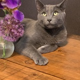 Entry image for Eddie Bowker