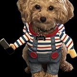 Entry image for Ginger