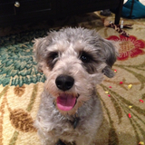 Entry image for Snickers