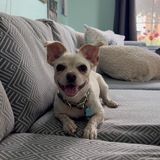 Entry image for Lucy (Goosey) Bragdon