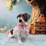 Entry image for Minnie Bragdon