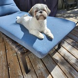 Entry image for Bentley