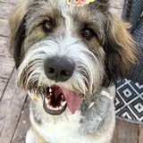 Entry image for Frannie