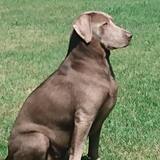 Entry image for Maggie 