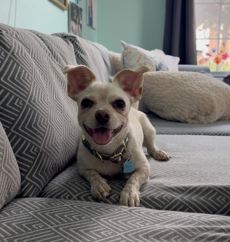 Entry image for Lucy (Goosey) Bragdon. Clicking this image will show a larger photo