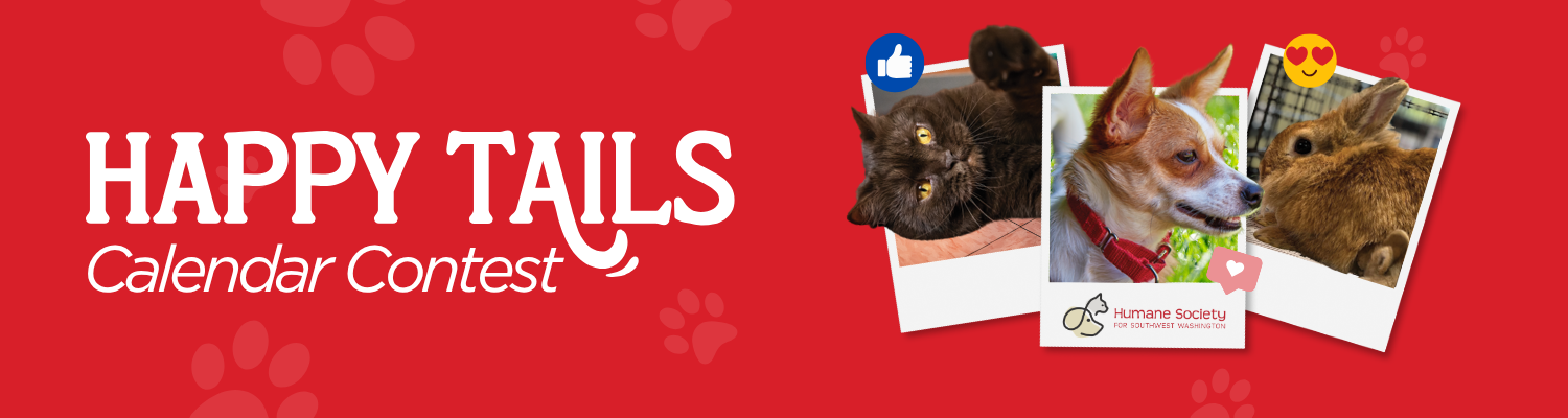 Banner for Happy Tails Calendar Contest