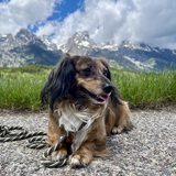 Entry image for Marlo