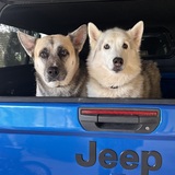 Entry image for Kiara and Nala