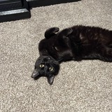 Entry image for Binx