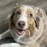 Entry image for Ruby