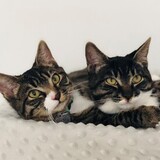 Entry image for Maxine and Mildred