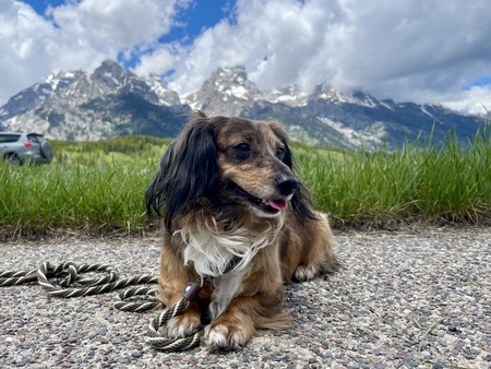 Entry image for Marlo. Clicking this image will show a larger photo