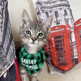 Entry image for Latte