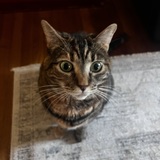 Entry image for Stormi