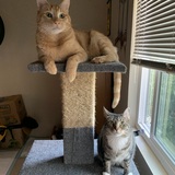 Entry image for Rufus and Nora
