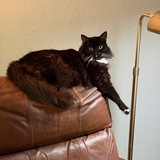 Entry image for Snuggle