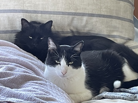 Entry image for Tucker & Sully. Clicking this image will show a larger photo