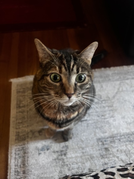 Entry image for Stormi. Clicking this image will show a larger photo