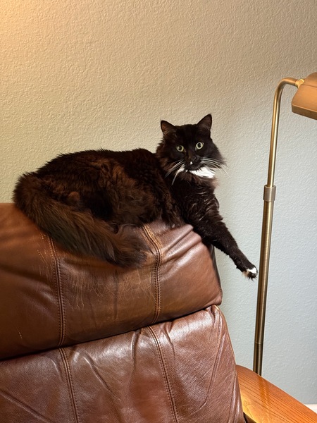 Entry image for Snuggle. Clicking this image will show a larger photo