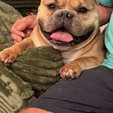 Entry image for Capone 