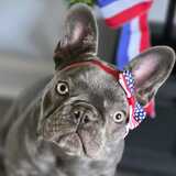 Entry image for Ellie Mae 
