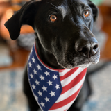 Entry image for Betty Lou