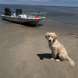 Entry image for Marley Anne