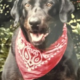 Entry image for Shiloh