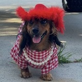 Entry image for Winnie