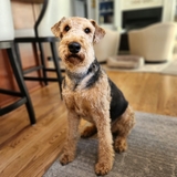 Entry image for Watson