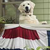Entry image for Arthur 