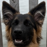 Entry image for Harbor 