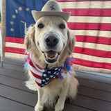 Entry image for Miss Ellie Mae