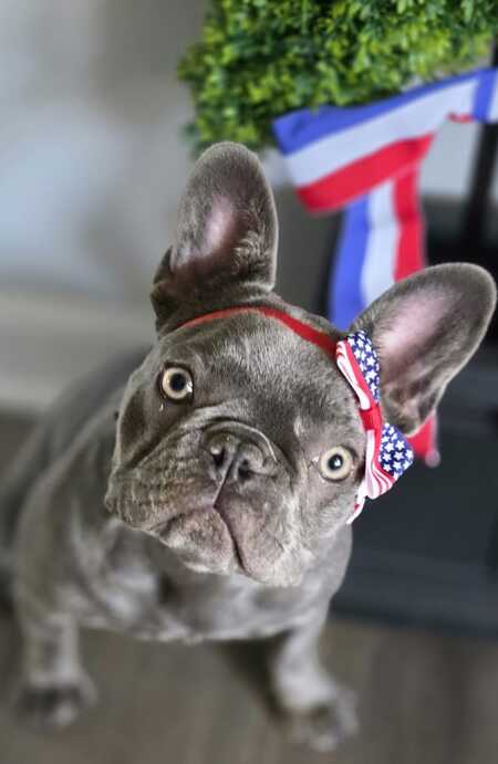 Entry image for Ellie Mae . Clicking this image will show a larger photo