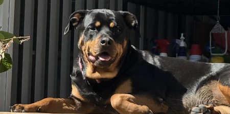 Entry image for Georgia . Clicking this image will show a larger photo