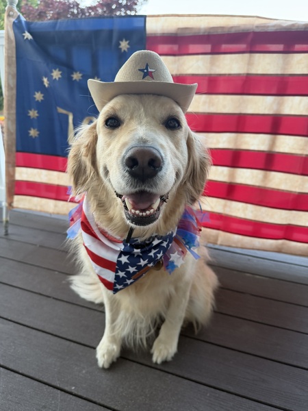 Entry image for Miss Ellie Mae. Clicking this image will show a larger photo