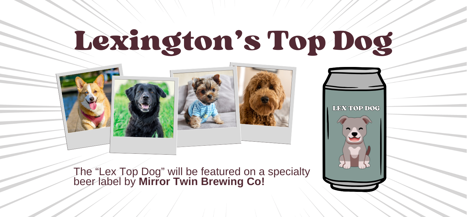 Banner for Lexington’s Top Dog