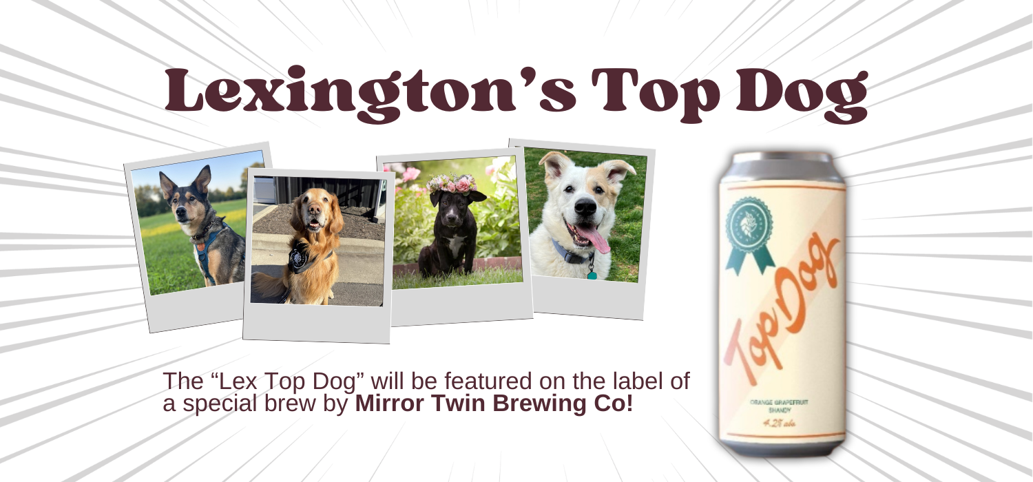 Banner for Lexington’s Top Dog