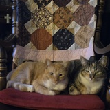 Entry image for Luna and Zoe