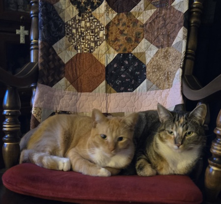 Entry image for Luna and Zoe. Clicking this image will show a larger photo