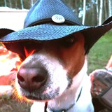Entry image for Charlie
